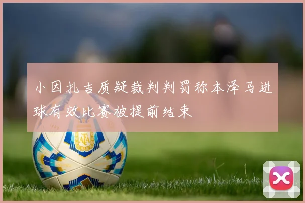 小因扎吉质疑裁判判罚称本泽马进球有效比赛被提前结束