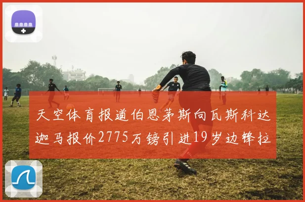 天空体育报道伯恩茅斯向瓦斯科达迦马报价2775万镑引进19岁边锋拉扬
